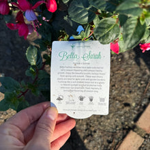 Load image into Gallery viewer, Fuchsia Bella Sarah
