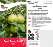 Load image into Gallery viewer, Malus domestica (Apple) Granny Smith Dwarf