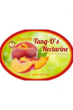 Load image into Gallery viewer, Prunus persica var. nucipersica {Nectarine - Tango Os Dwarf}