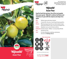 Load image into Gallery viewer, Pyrus pyrifolia Nashi Nijisseiki 20th Century (Pear)