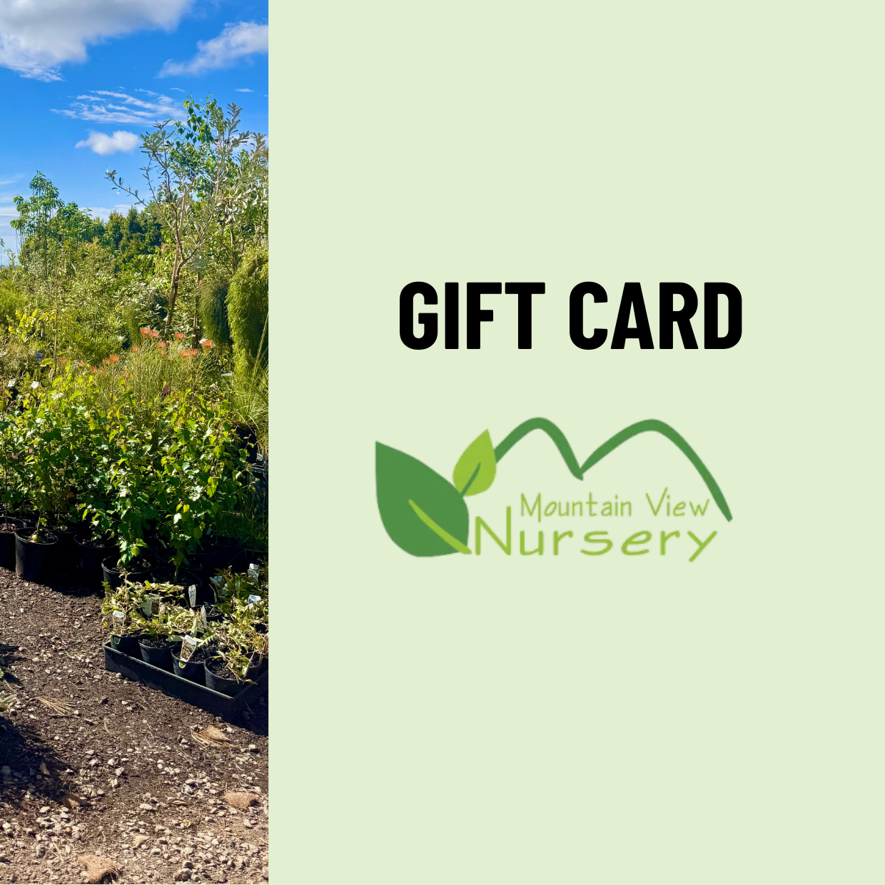 Gift Card – Mountain View Nursery