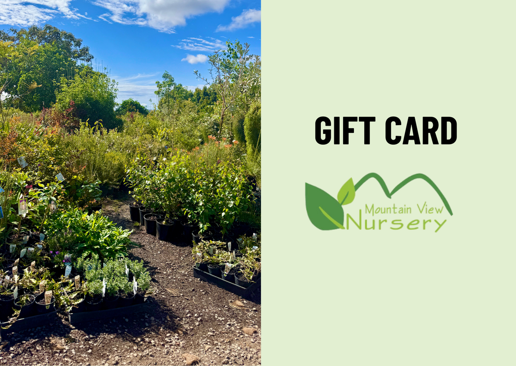 Gift Card – Mountain View Nursery