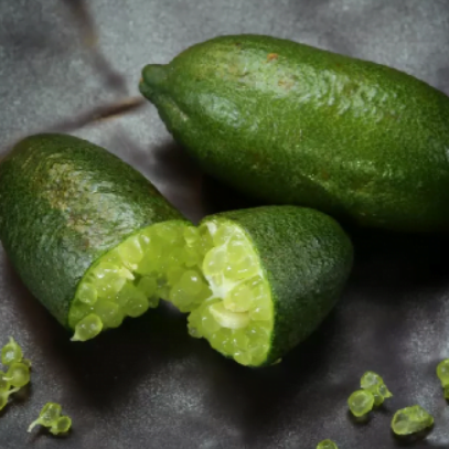 Citrus australasica D’ Emerald Finger Lime