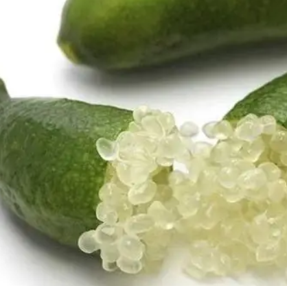 Citrus australasica Green Sapphire Grafted