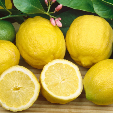 Citrus Limon Lots A Lemons