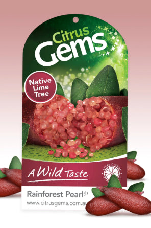 Citrus australasica Rainforest Pearl PBR Finger Lime Grafted