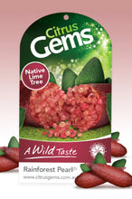 Load image into Gallery viewer, Citrus australasica Rainforest Pearl PBR Finger Lime Grafted
