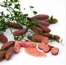 Load image into Gallery viewer, Citrus australasica Rainforest Pearl PBR Finger Lime Grafted
