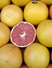 Load image into Gallery viewer, Citrus paradisi Ruby Grapefruit Grafted 5 LTR
