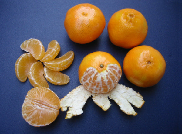 Citrus reticulata Clementine (Mandarin)