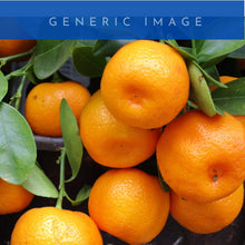 Load image into Gallery viewer, Dwarf Emperor Mandarin
