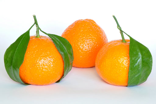 Citrus reticulata Japanese Seedless (Mandarin)