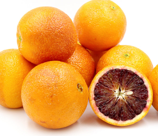 Citrus sinensis Arnold Blood (Orange)