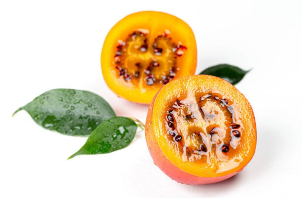 Cyphomandra betacea Ecuadorian Orange (Tamarillo)