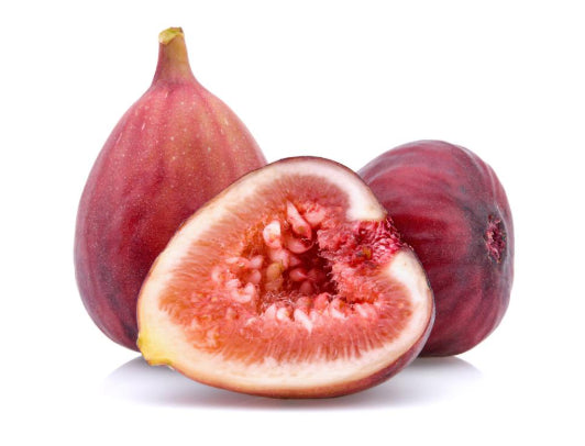 Ficus carica Sweet Temptation Fig