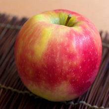 Load image into Gallery viewer, Malus domestica, Pink Lady Apple (dwarf)
