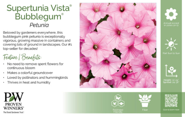 Petunia Supertunia Vista Bubblegum Pink