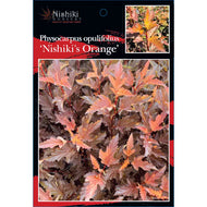 Nishiki Orange