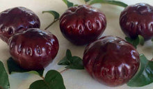 Load image into Gallery viewer, Pleiogynium timorense Burdekin Plum Tucker Bush
