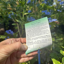 Load image into Gallery viewer, Plumbago auriculata Royal Cape
