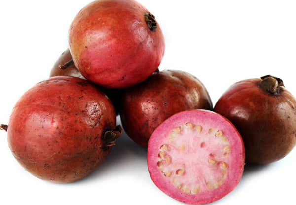 Psidium cattleianum Strawberry Guava