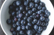 Vaccinium Blueberry Burst rtm