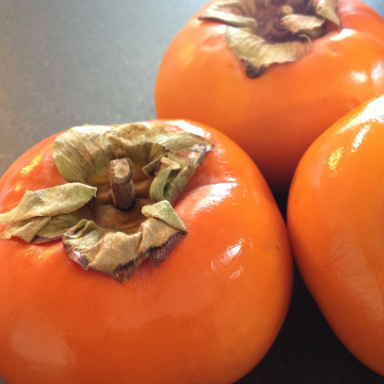 Diospyros kaki Japanese Persimmon