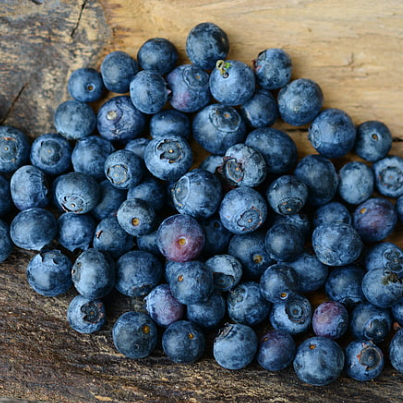Vaccinium corymbosum Pink Icing Blueberry