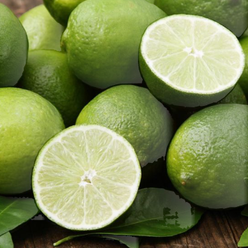 Citrus latifolia Tahitian Lime Grafted